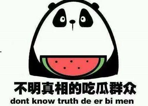 娱乐吃瓜名字叫什么来着,揭秘娱乐圈那些不为人知的秘密